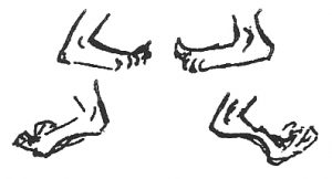 Feet - by Bonnie Prudden