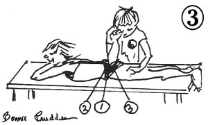 Myotherapy on Gluteal Muscles - drawing by Bonnie Prudden