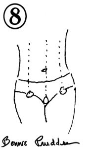 The Bikini Area - drawing by Bonnie Prudden