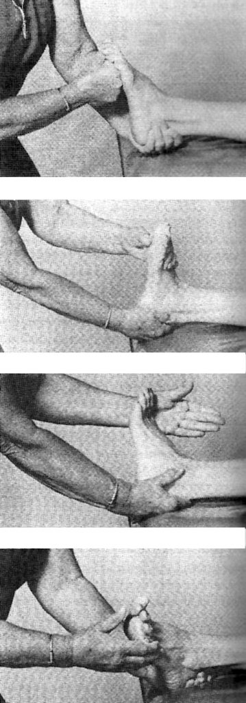Exercises for the Ankle