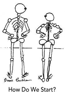 Skeletons - drawings by Bonnie Prudden