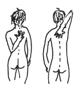 Shoulder Flexibility, drawing by Bonnie Prudden