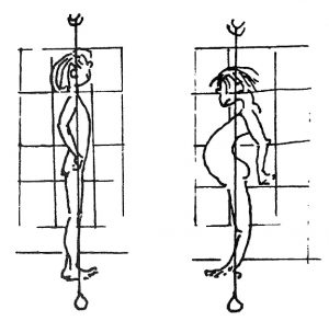 Round shoulder drawing by Bonnie Prudden