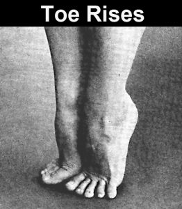Toe Rises