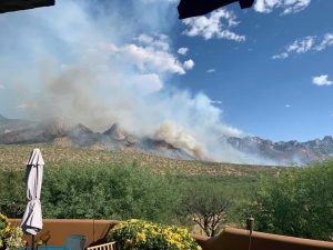 Photo of Bighorn Fire by Pamela Hale