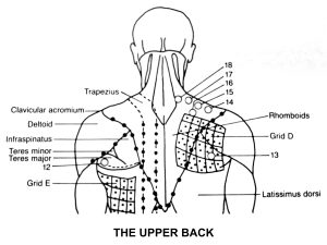 Upper Back Trigger Points